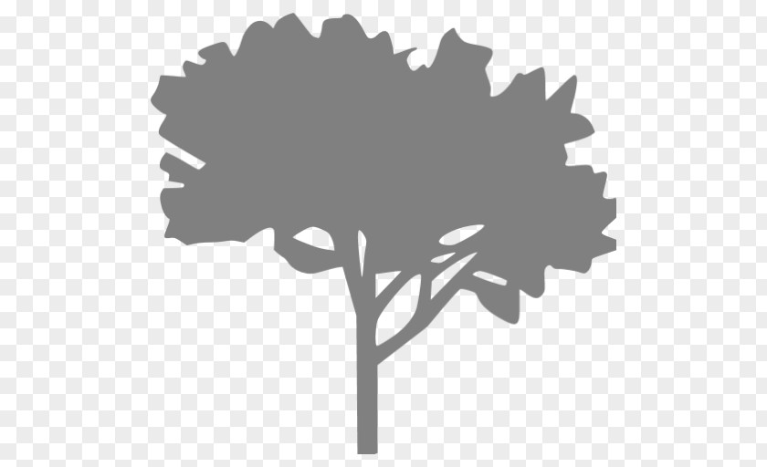 Tree Arborist PNG