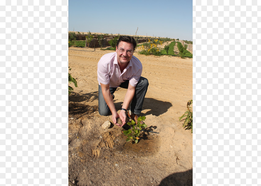 Tree Shrubland Soil Lawn Vacation PNG