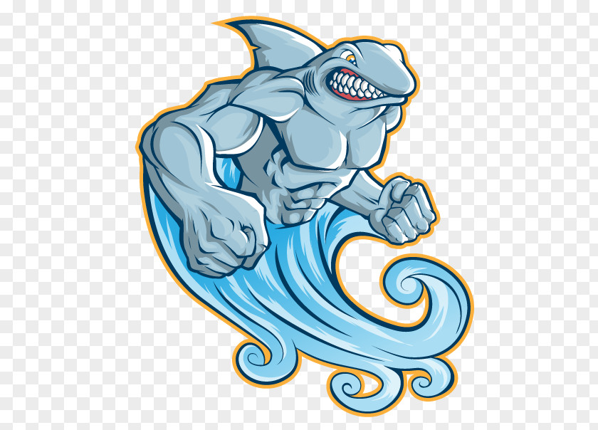 Vector Variation Shark Illustration PNG