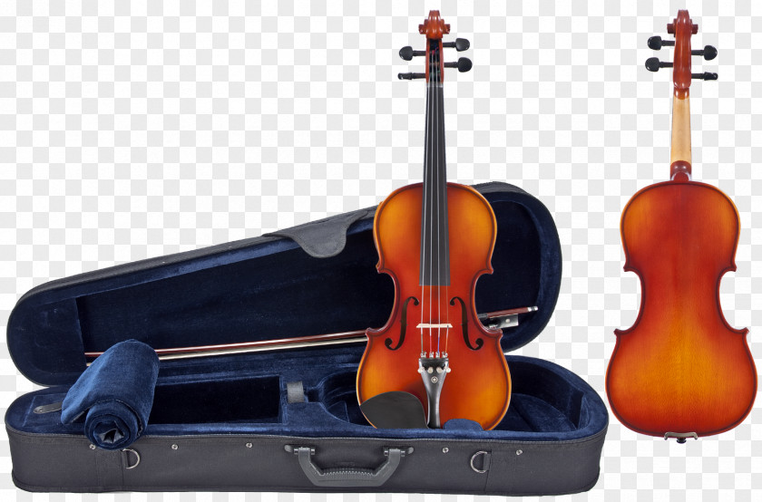 Violin Musical Instruments Sound Post Viola String PNG