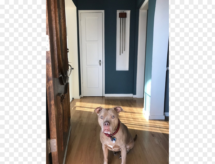 Dog Breed Door Hardwood PNG