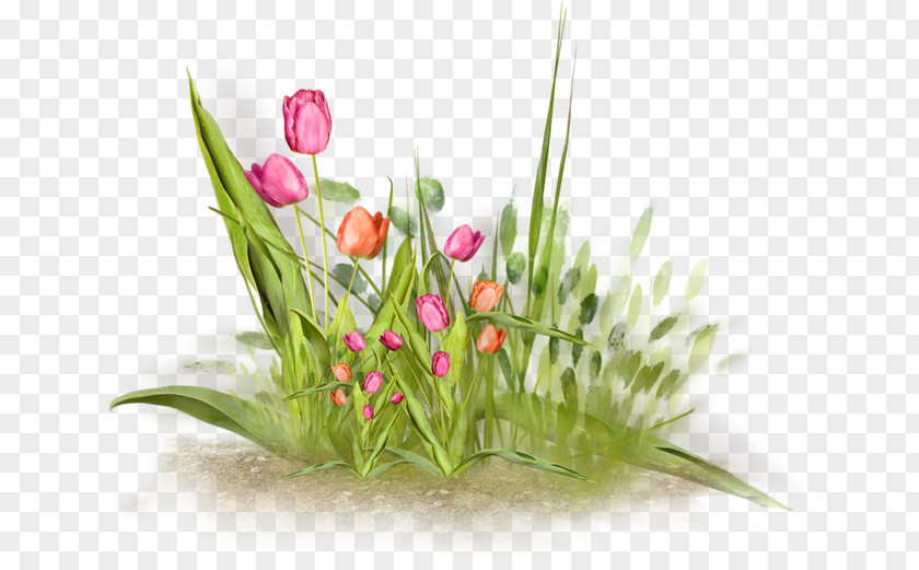 Flowers Grass Blog Flower Clip Art PNG