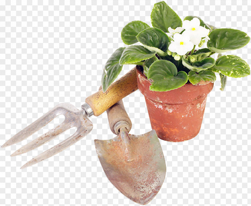 Plant Flowerpot Garden Tool Gardening PNG