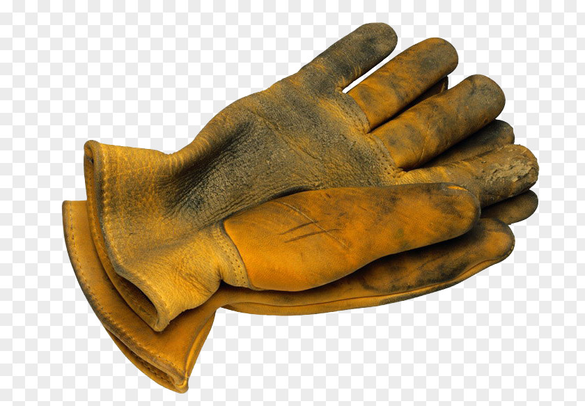 Workers Worn Gloves Glove Stock Photography Laborer PNG