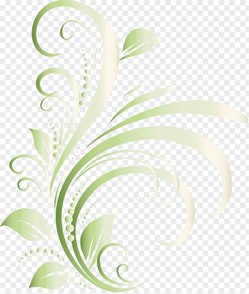 Design Elements Flower Floral Leaf Petal PNG