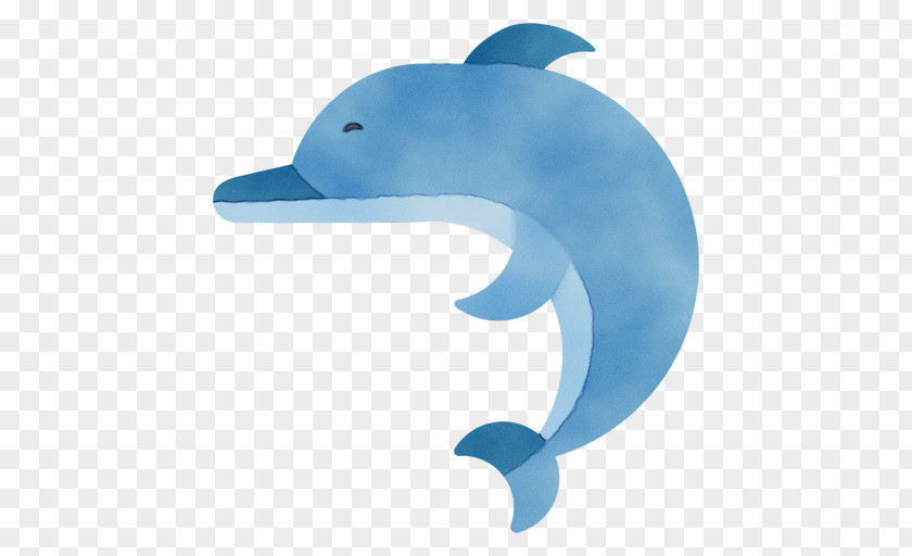 Dolphin Cetaceans Porpoises Whales Bottlenose PNG