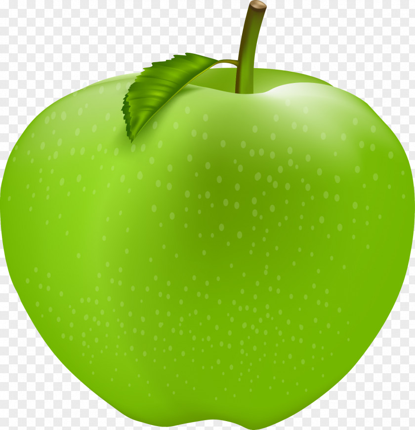 Green Apple Manzana Verde PNG