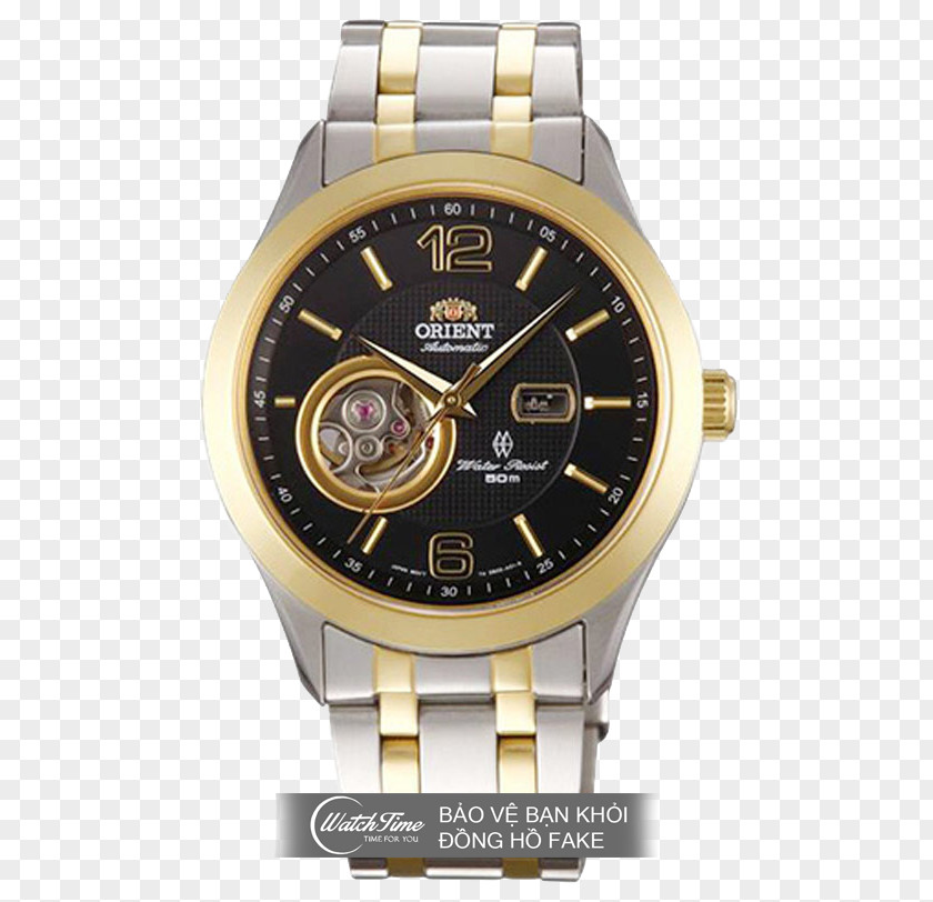 Watch Orient Automatic Rolex Clock PNG