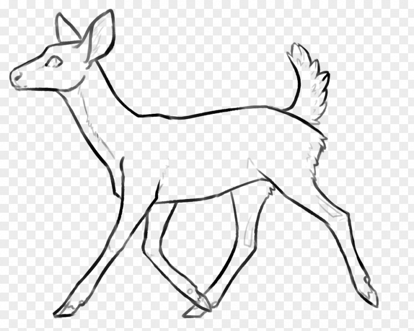 Based Line Drawing Reindeer White-tailed Deer Antelope Horn PNG