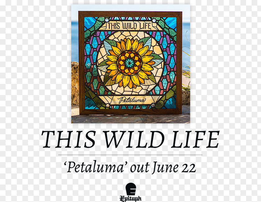 Preorder This Wild Life Petaluma Westside Catie Rae Album PNG
