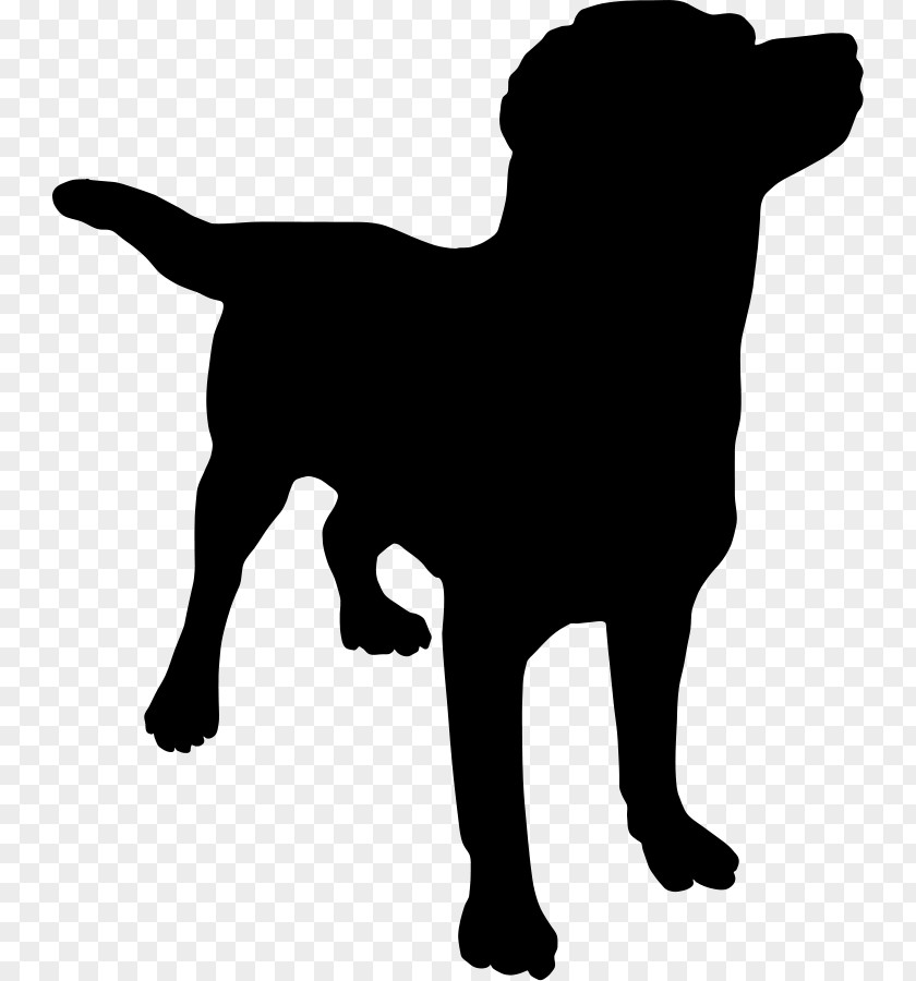 Puppy Labrador Retriever Curtain Clip Art PNG