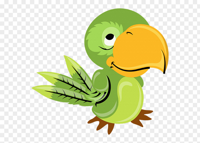 Duck Bird Image Cartoon PNG