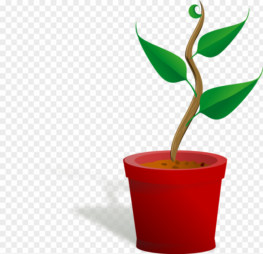 Free Poinsettia Clipart Plant Content Clip Art PNG