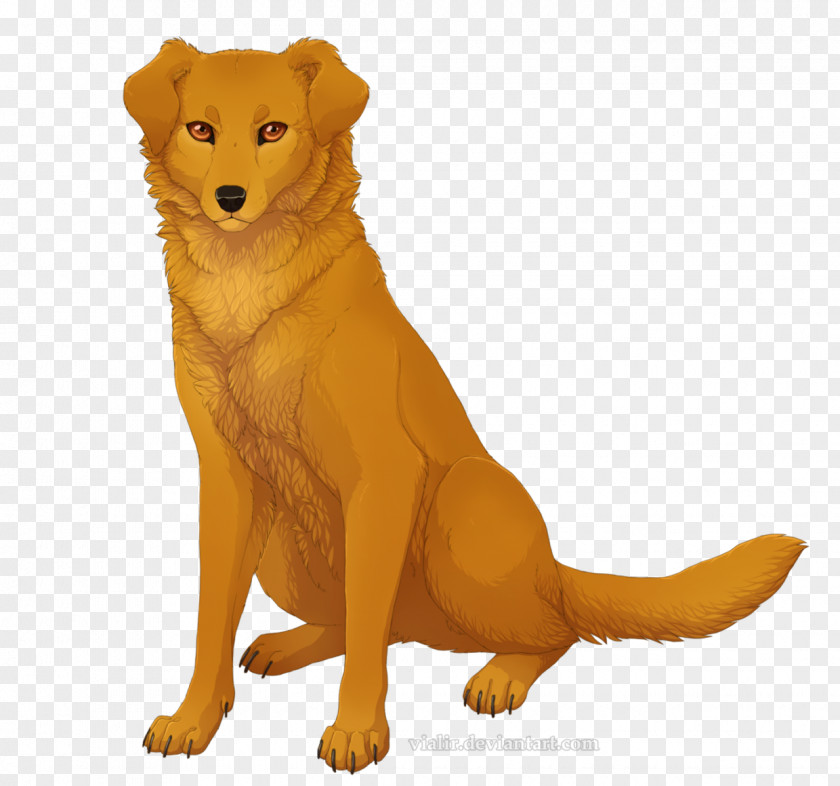 Lucky Finnish Spitz Survivors #6: Storm Of Dogs A Hidden Enemy Erin Hunter PNG