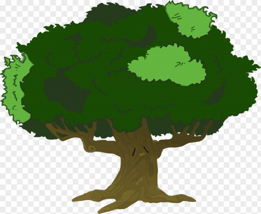 Tree Clip Art Large Branch Openclipart PNG