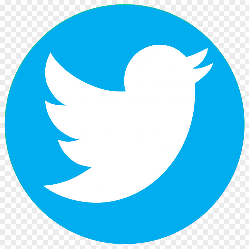 Twitter Social Media IPhone Organization Logo PNG