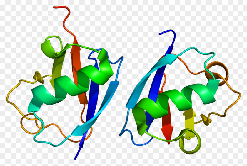 UHRF1 RING Finger Domain Gene Cell Molecular Biology PNG