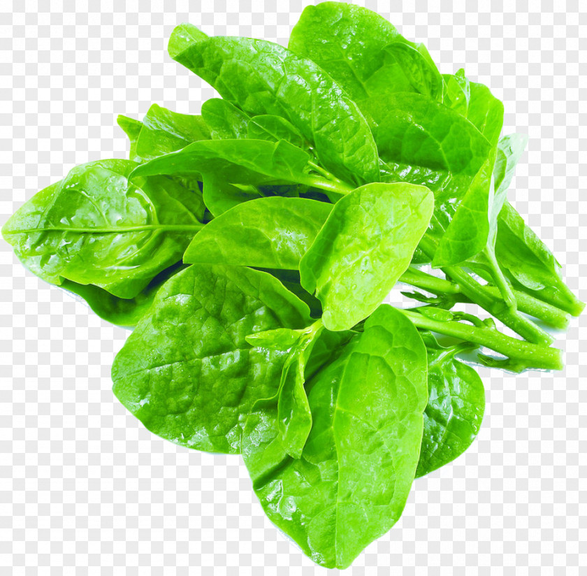 Vegetable Choy Sum Malabar Spinach Leaf PNG