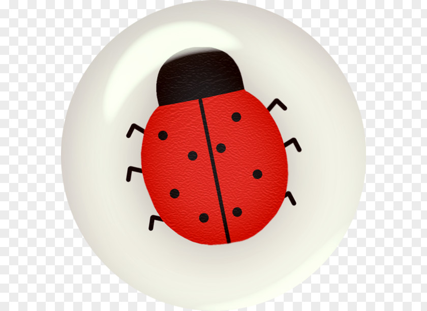 Insect Ladybird Beetle PNG