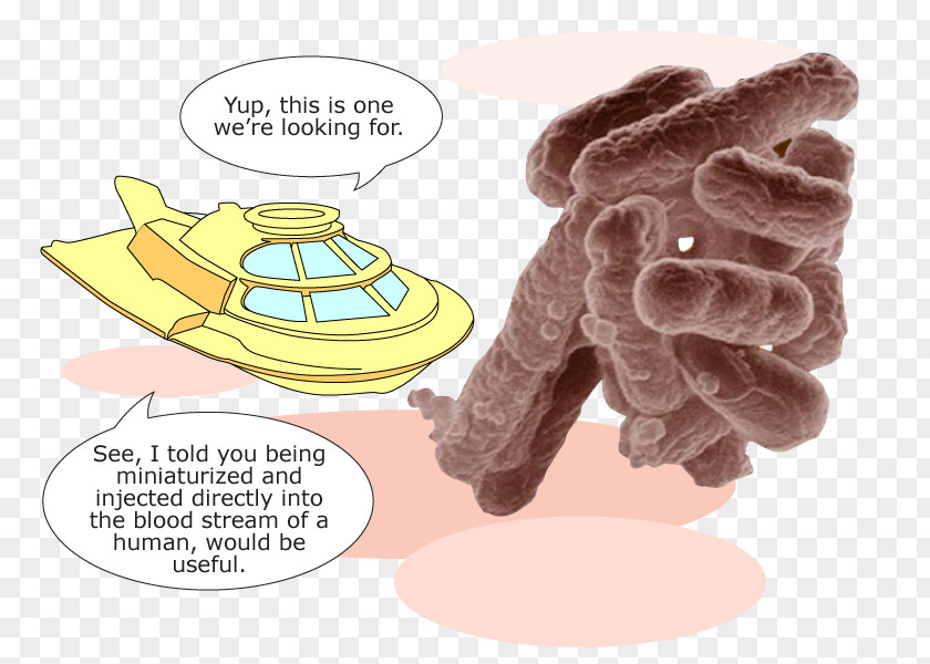 Organisms Thumb E. Coli Galactose-1-phosphate Uridylyltransferase Galactosemia International Genetically Engineered Machine PNG