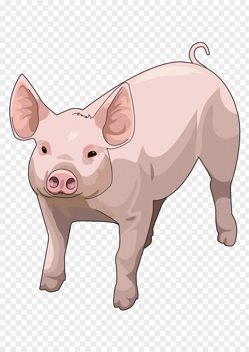 Pig Miniature Drawing Image PNG