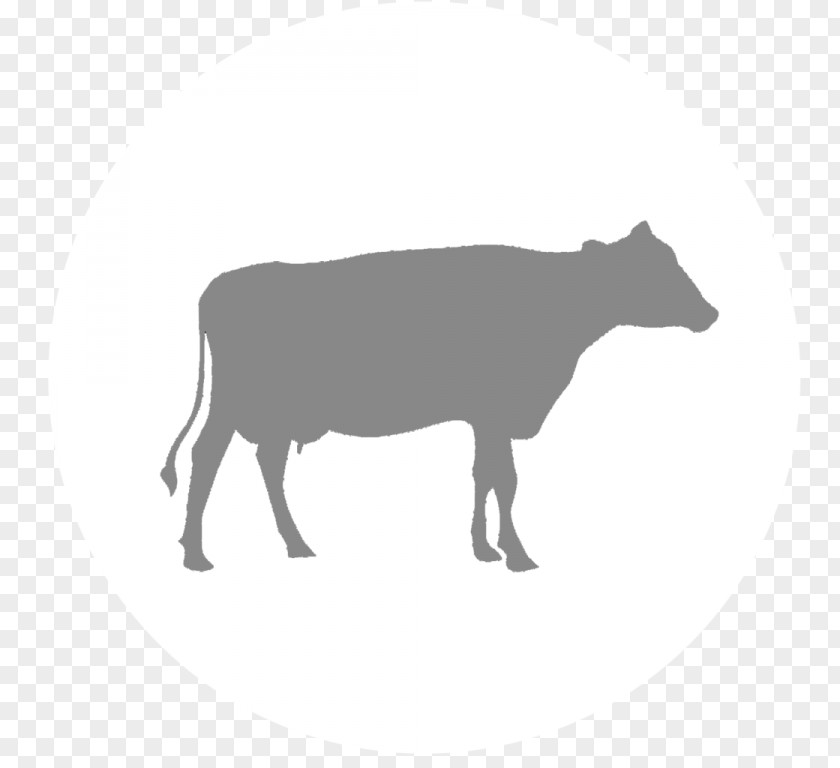 Silhouette Dairy Cattle Calf Vector Graphics Clip Art PNG