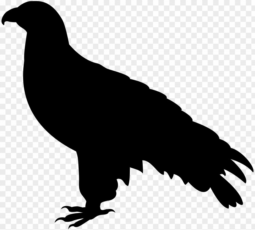 Silhouette Royalty-free Falcon PNG
