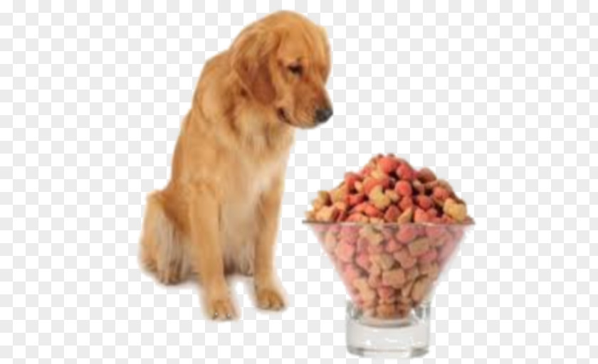 Dog Supply Companion Food PNG