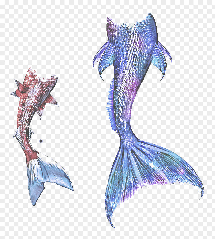 Marine Mammal Fish Fictional Character Wing Mythical Creature Dolphin Tail PNG