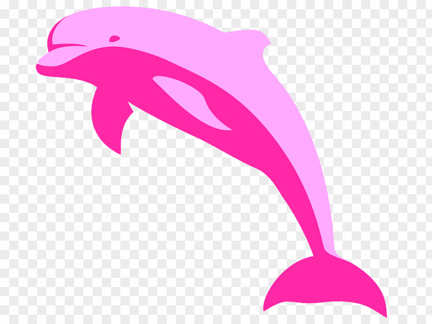 Rosa Amazon River Dolphin Free Clip Art PNG