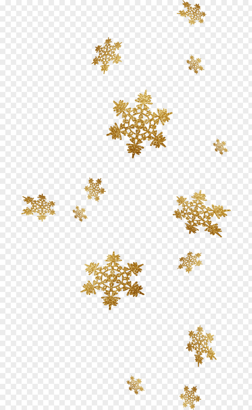 Snowflake Crystallization PNG