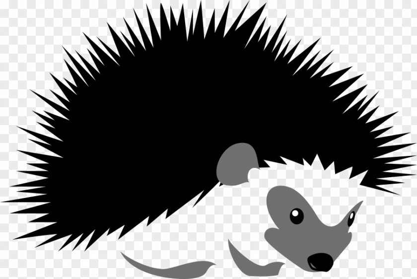 Cartoon Hedgehog Stock Illustration Silhouette PNG