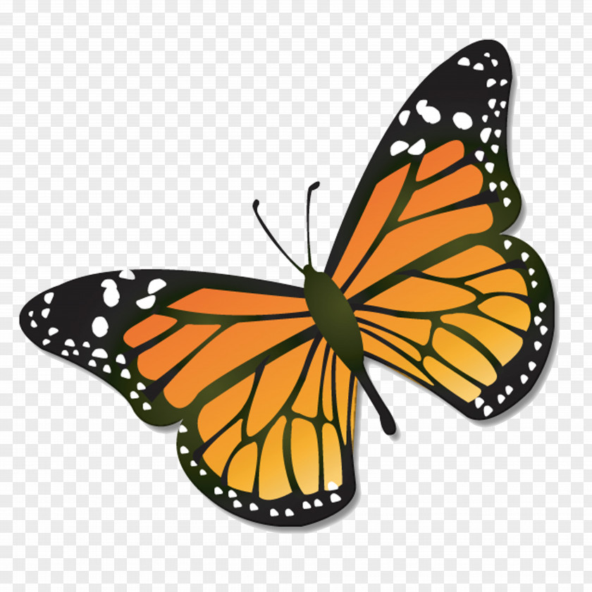 Dragonfly Monarch Butterfly Clip Art PNG