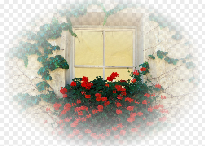 Window Desktop Wallpaper Flower PNG