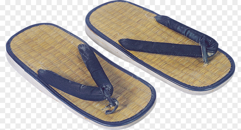 Zapateria Flip-flops Slipper Slip-on Shoe High-heeled Footwear PNG