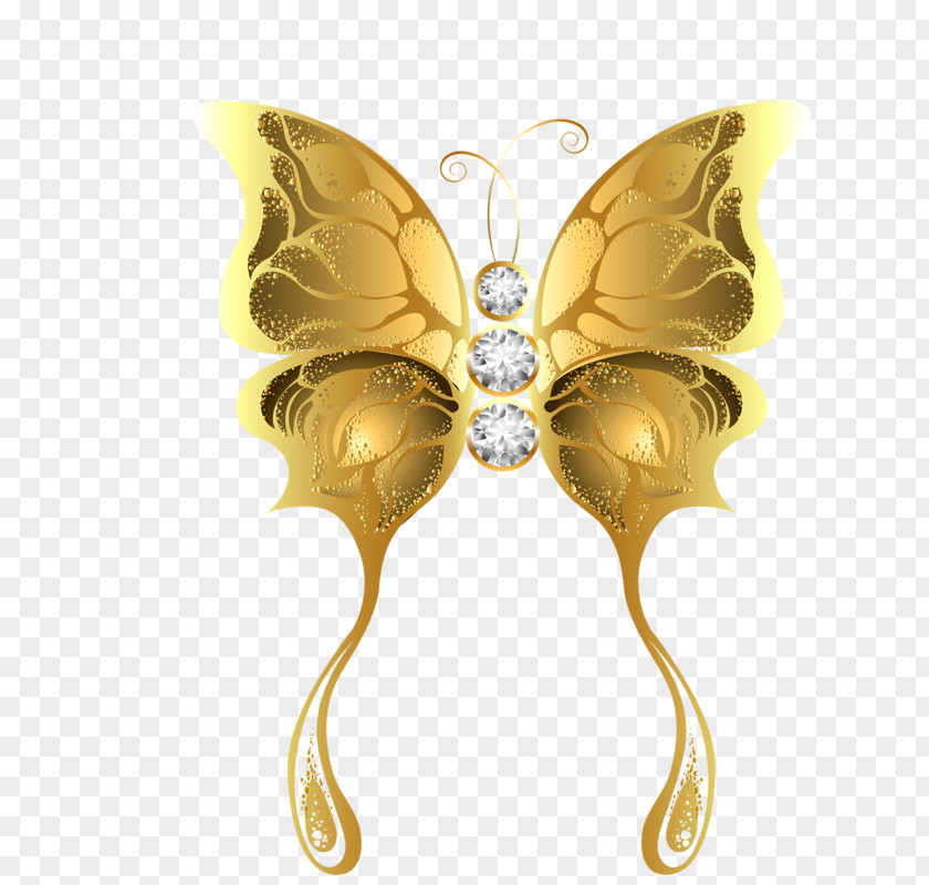 Butterfly Moth Gold PNG