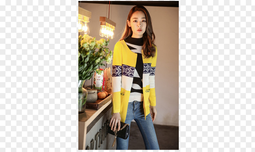 Họa Tiết Sweater Outerwear Blouse Sleeve Neck PNG