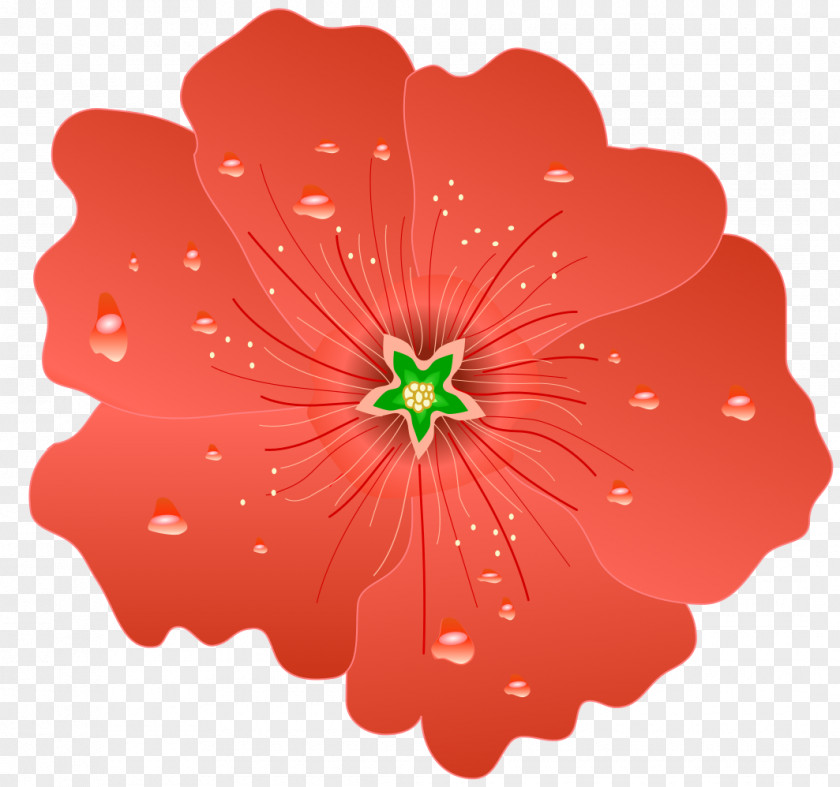 Hollyhock Hollyhocks Hibiscus Plant Clip Art PNG