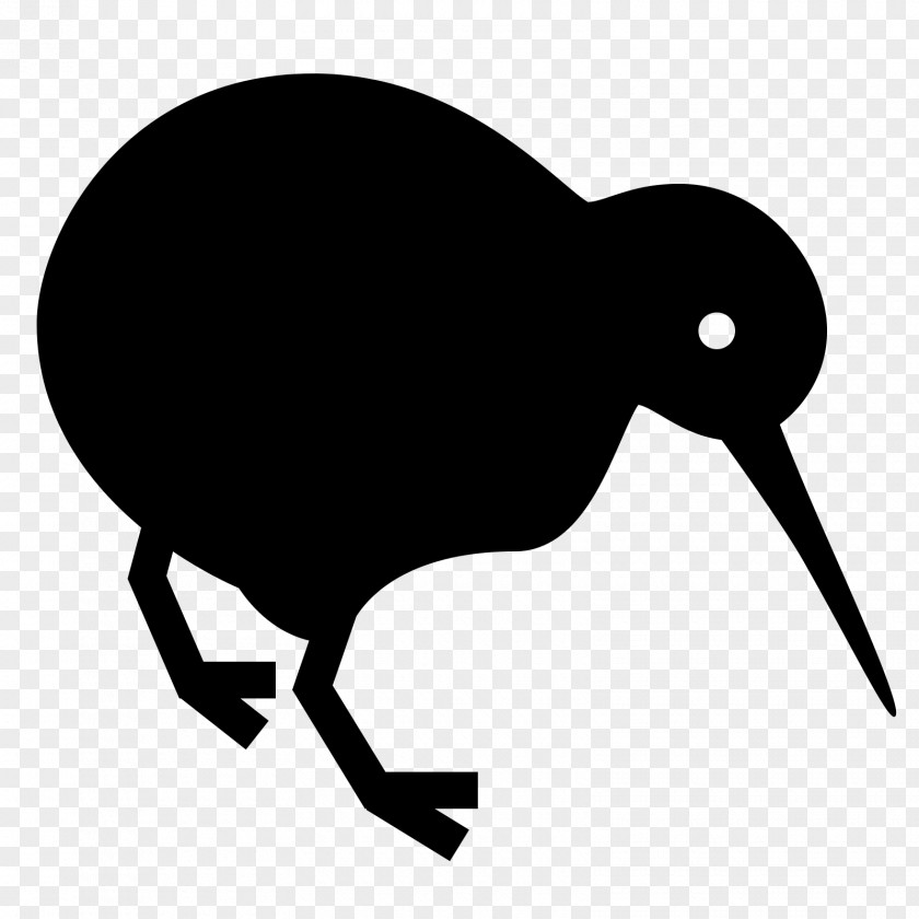 Kiwi Bird Clip Art PNG