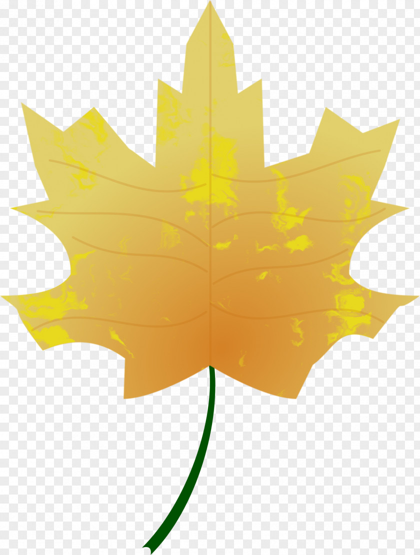 Leaf Autumn Color Tree PNG