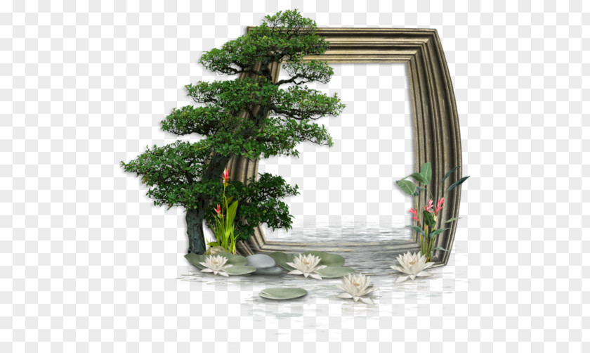 Painting Picture Frames Spanish Idea PNG