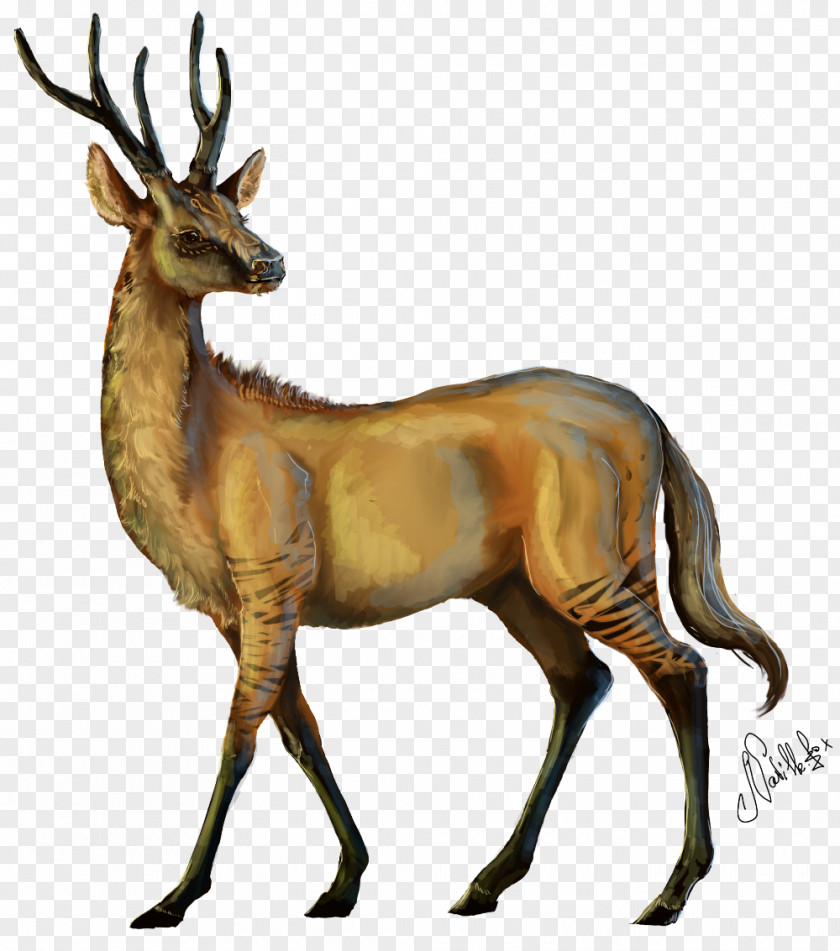 Reindeer Elk Musk Deers Antelope PNG