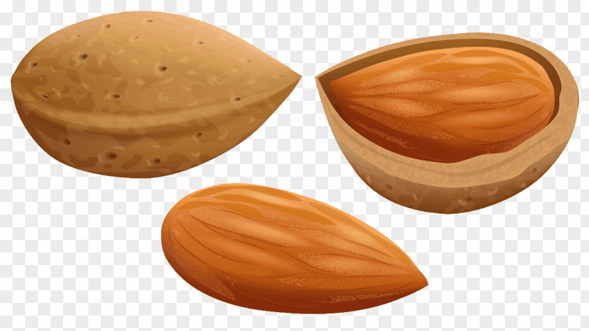 Almonds Almond Nut Clip Art PNG