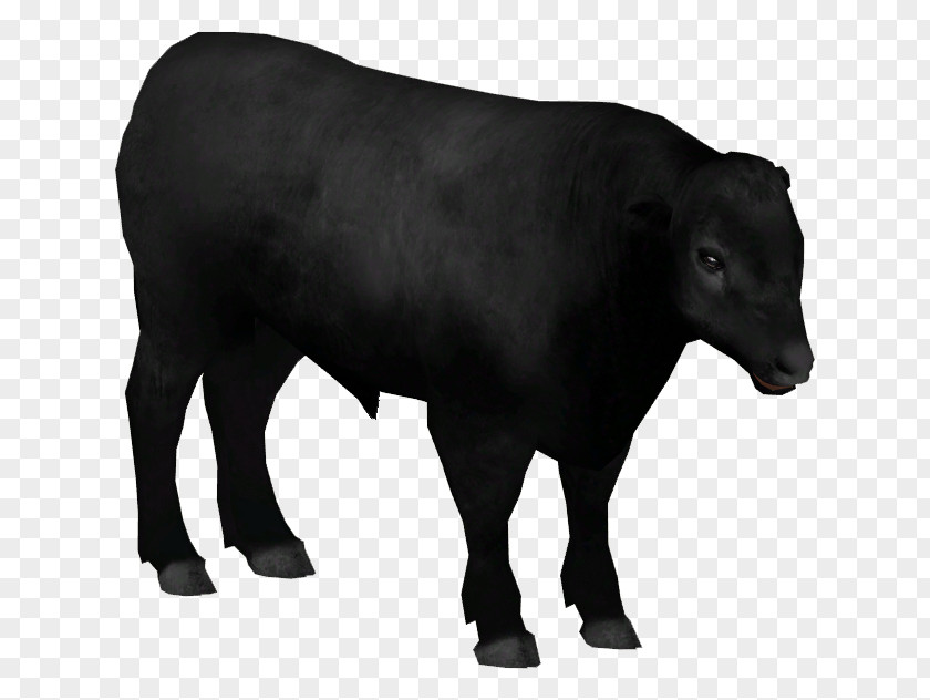 Anguscattle Dairy Cattle Angus Calf Aberdeen Bull PNG