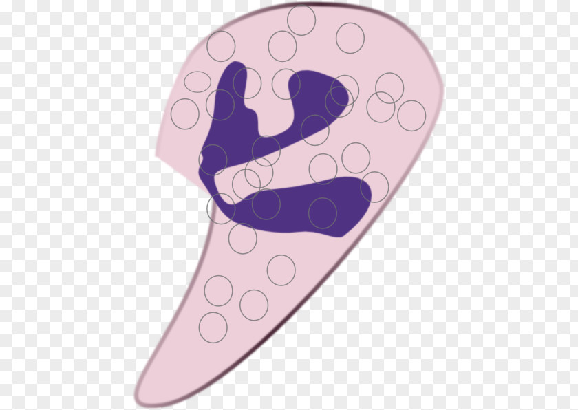 Lymphoblast Product Design Shoe Purple PNG