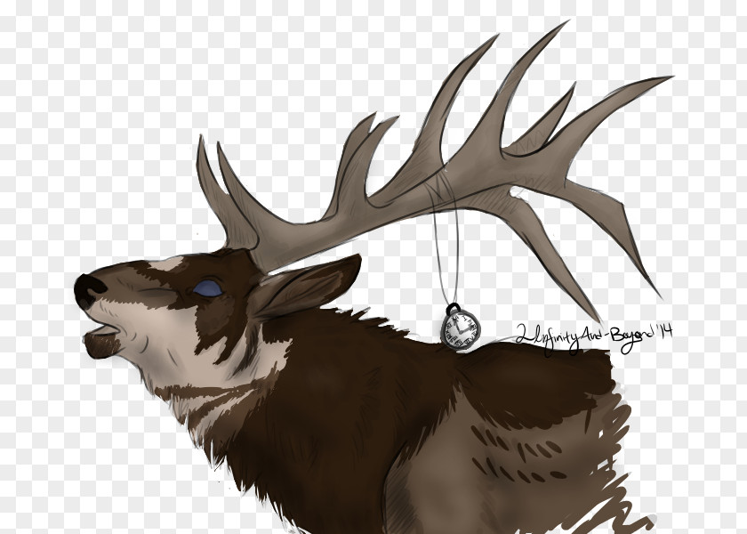 Reindeer Elk Fauna Wildlife PNG