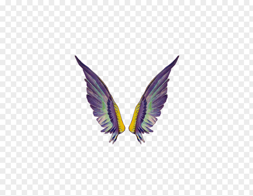 Related Feather Wings Clip Art PNG