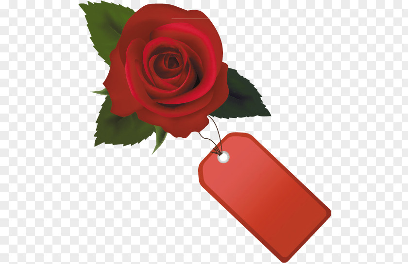 Rose Vector Drawing Sins Of Sevin Clip Art PNG