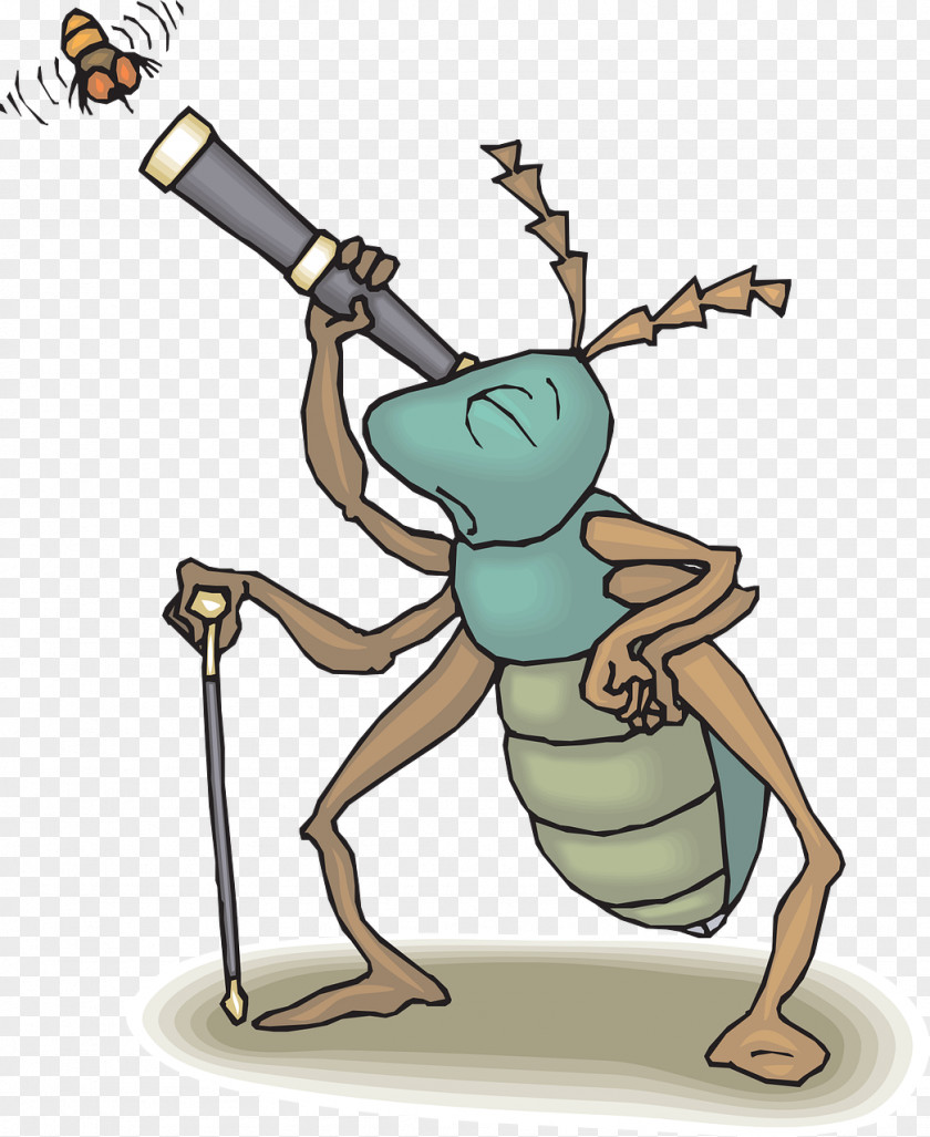 Watching Ants Insect Bug-watching Clip Art PNG