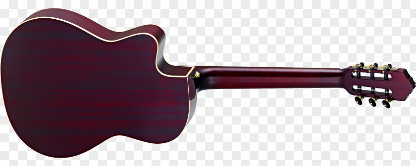 Amancio Ortega Electric Guitar Fender Telecaster Thinline Musical Instruments String PNG